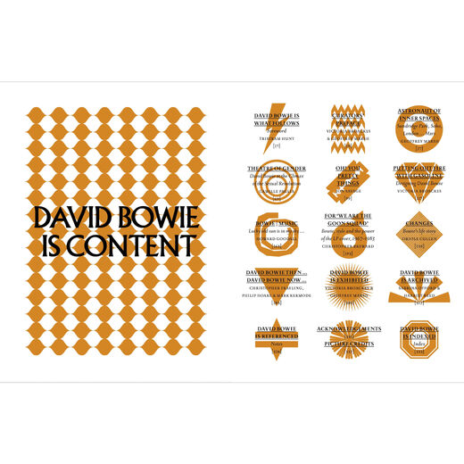 David Bowie exhibition book & tote bag